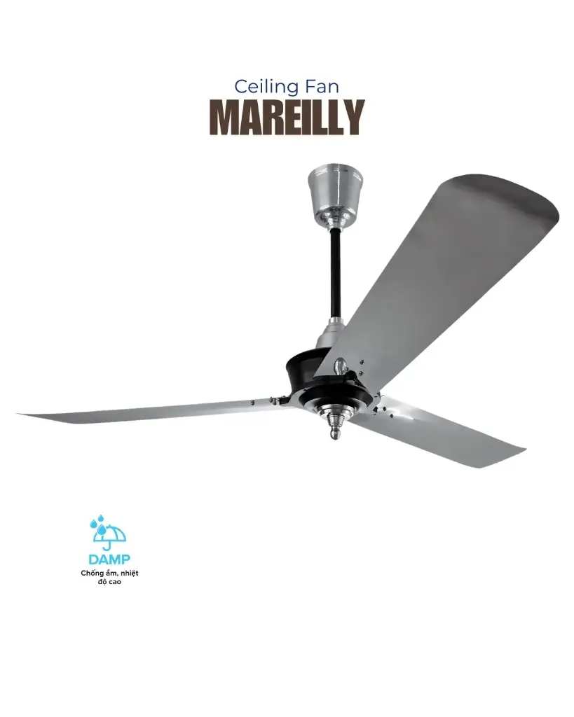 Cover Image 01